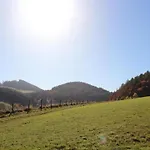 公寓 In Am Ettelsberg Skilift 维林根