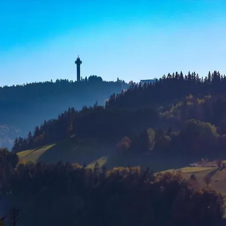 Modern In Near Lift Willingen (Upland)