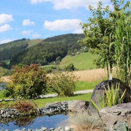 Modern In Near Lift Willingen (Upland)