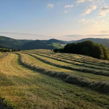 Modern In Near Lift Apartment Willingen (Upland)