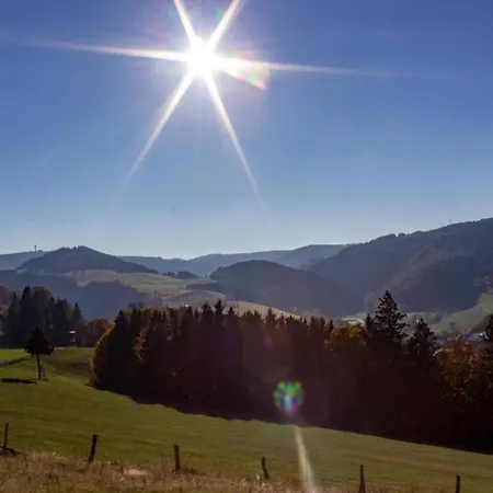 In Am Ettelsberg Skilift Daire Willingen (Upland)