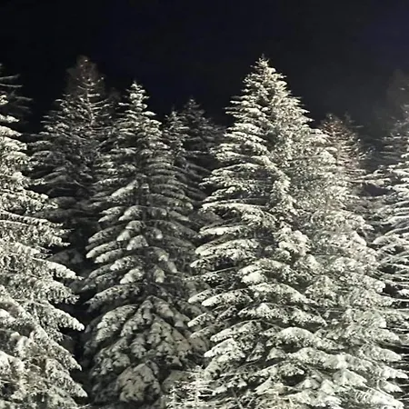 Daire In Am Ettelsberg Skilift Willingen (Upland)