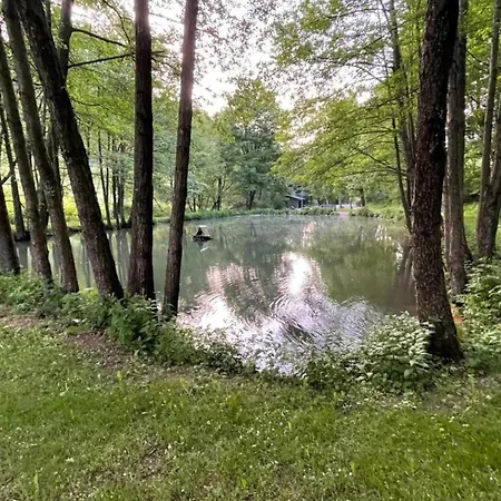 In Am Ettelsberg Skilift Willingen (Upland)