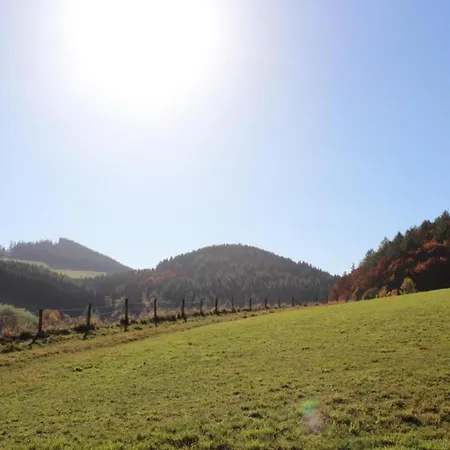 Lejlighed In Am Ettelsberg Skilift Willingen (Upland)