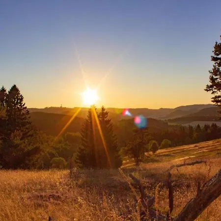 In Am Ettelsberg Skilift Daire Willingen (Upland)