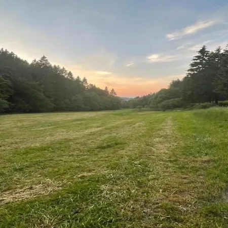 In Am Ettelsberg Skilift Willingen (Upland)