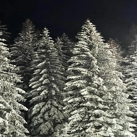 In Am Ettelsberg Skilift *
