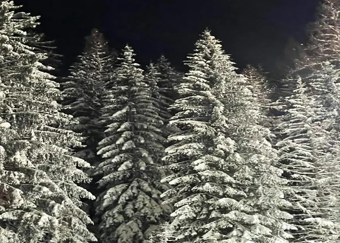 Apartment In Am Ettelsberg Skilift Willingen (Upland)