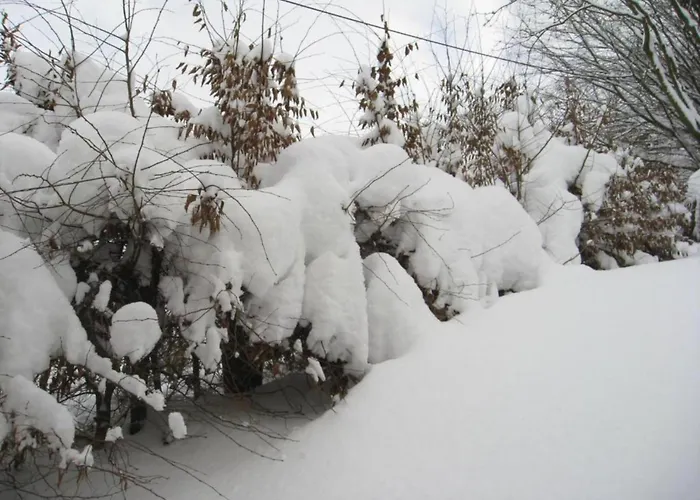 Apartment In Am Ettelsberg Skilift *