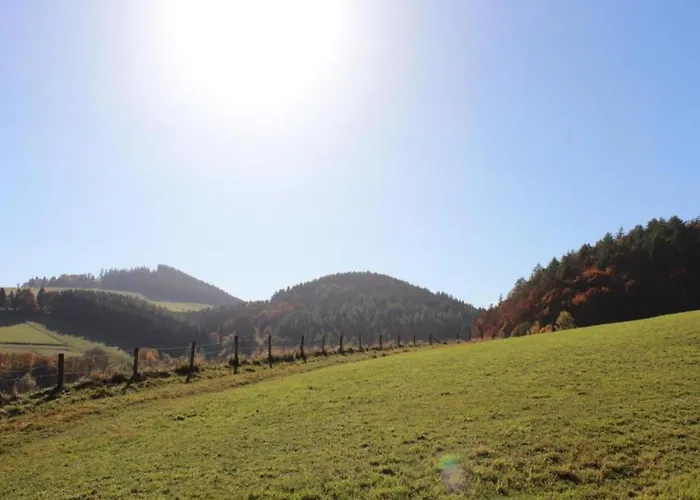 Apartment In Am Ettelsberg Skilift Willingen (Upland)