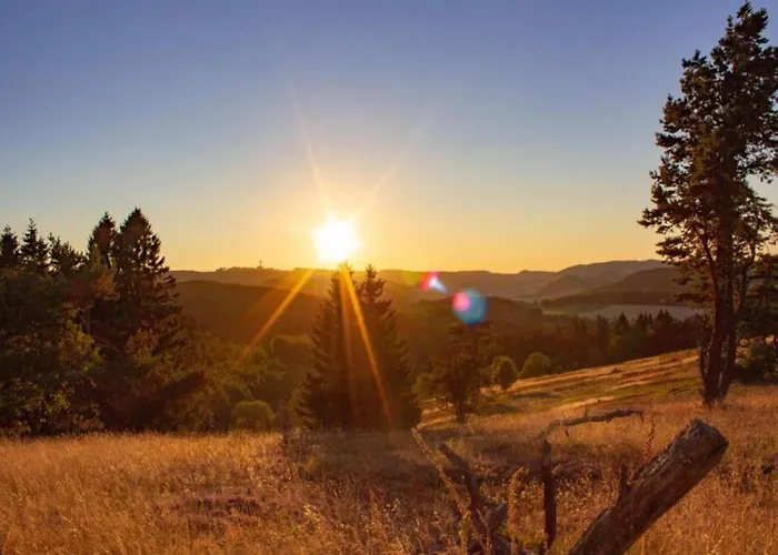 In Am Ettelsberg Skilift Apartment Willingen (Upland)